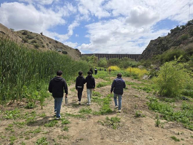 BioBlitzers catalog wildlife in U.S., Mexico as walls go up along border