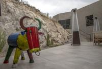 Home in Dove Mountain