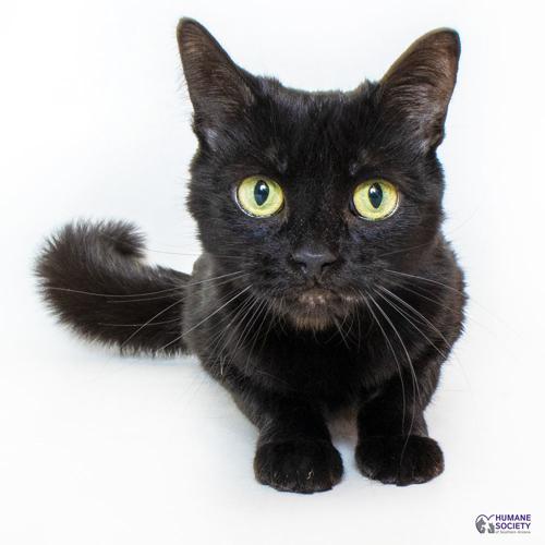 Adopt a friend: Betty