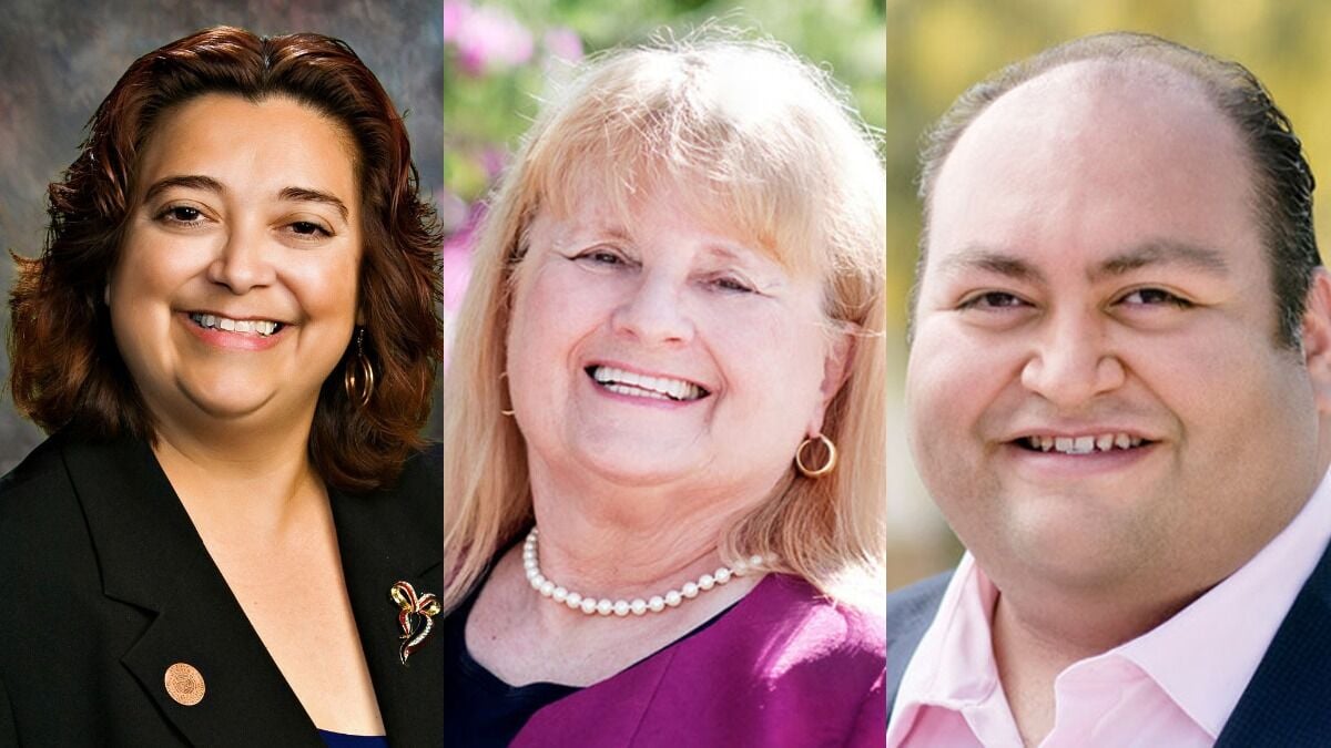 Andrea Dalessandro (D), Daniel Hernandez Jr. (D), Deborah McEwen (R)