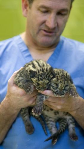 Animal shots of the week