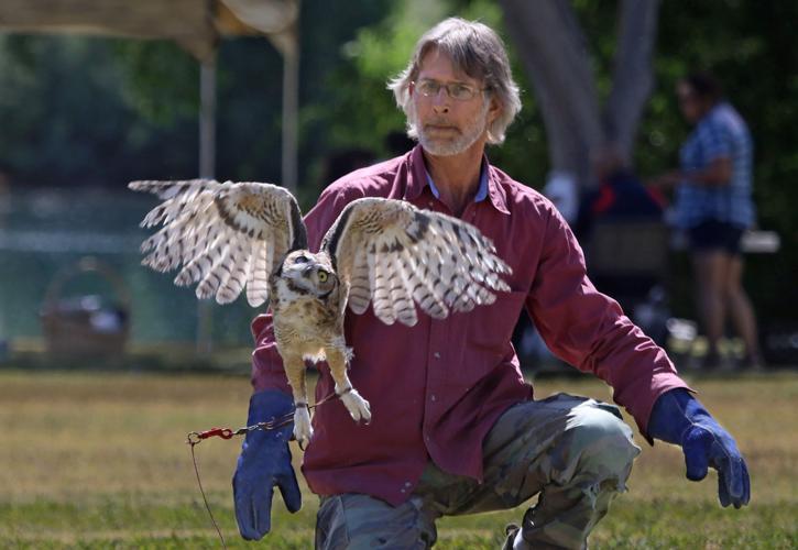 Wildlife sanctuary rebuilds