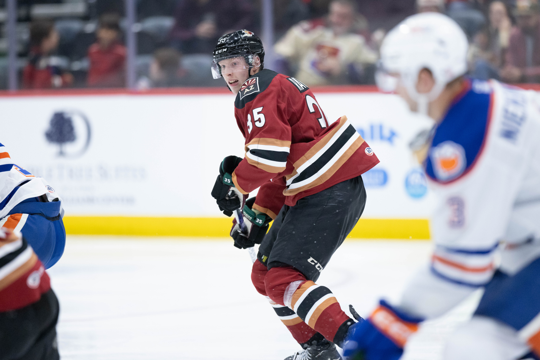 Tucson Roadrunners, Aku Räty Face Brother Aatu In Abbotsford