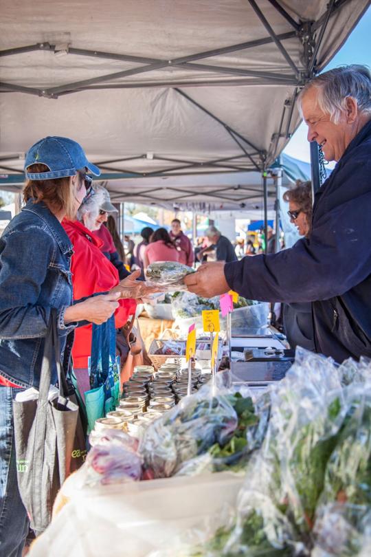 Tucson Farmers Markets Nov. 814