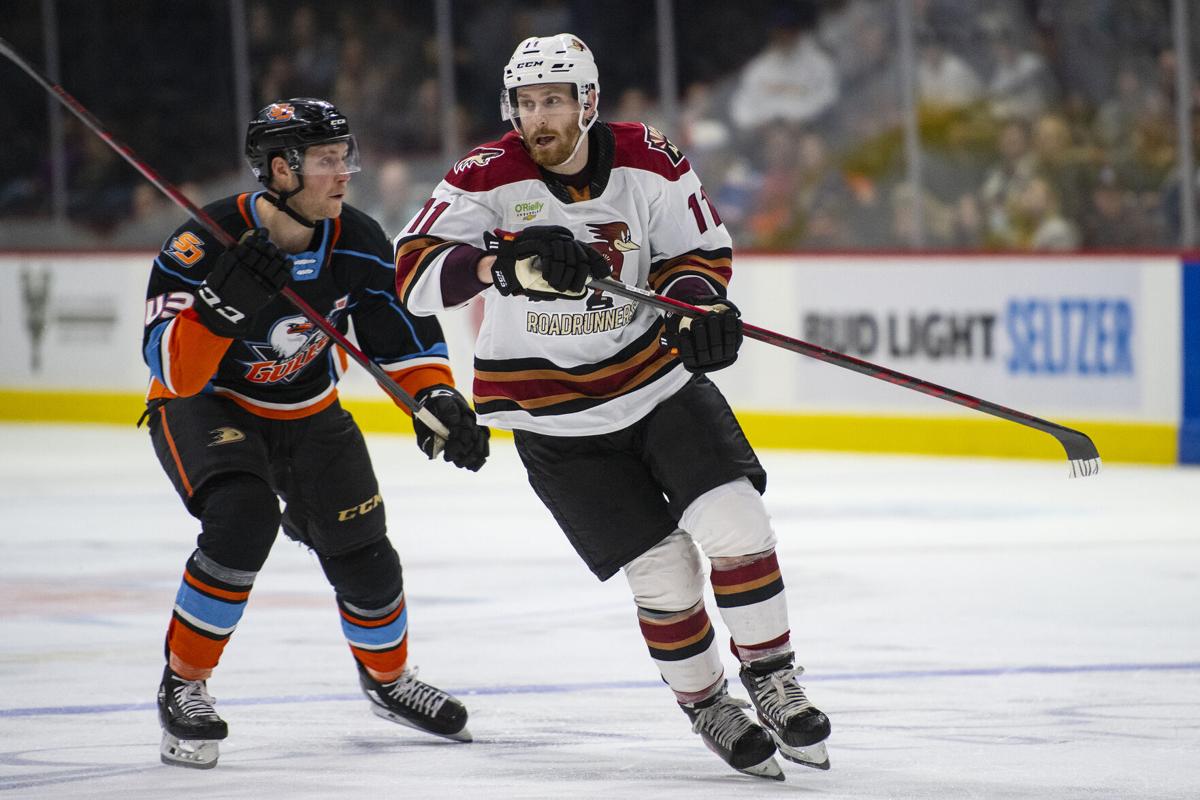 Roadrunners hockey history continues in Tucson: NHL's top minor league  affiliate for the Arizona Coyotes - Northeast Valley News