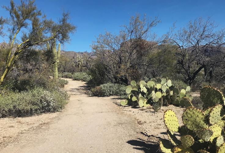 Beginning of Esperero