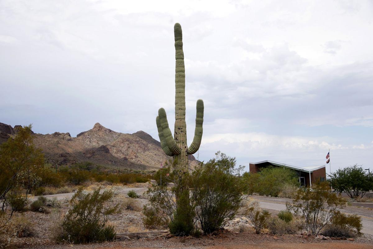 Boy Scout Hiking Death
