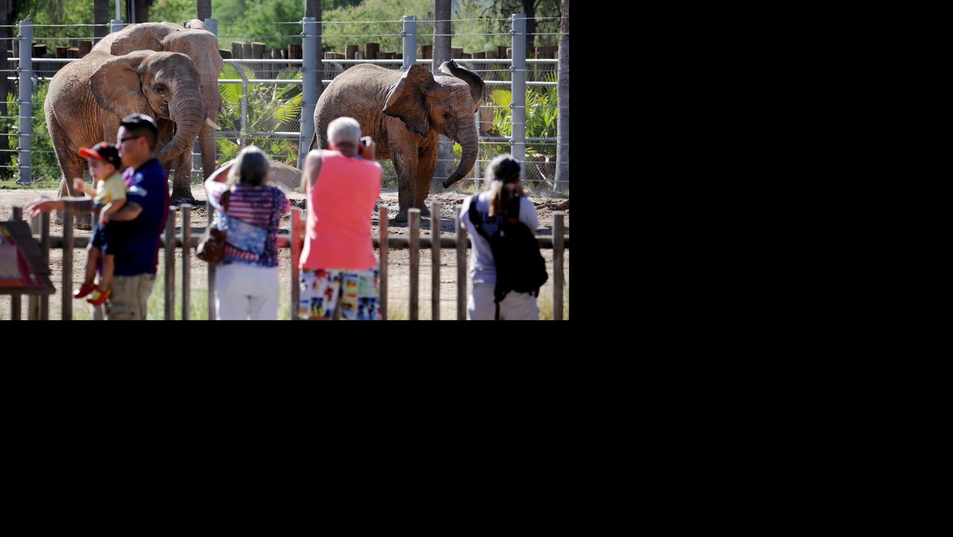 Tucson City Council votes to expand Reid Park Zoo to the northwest