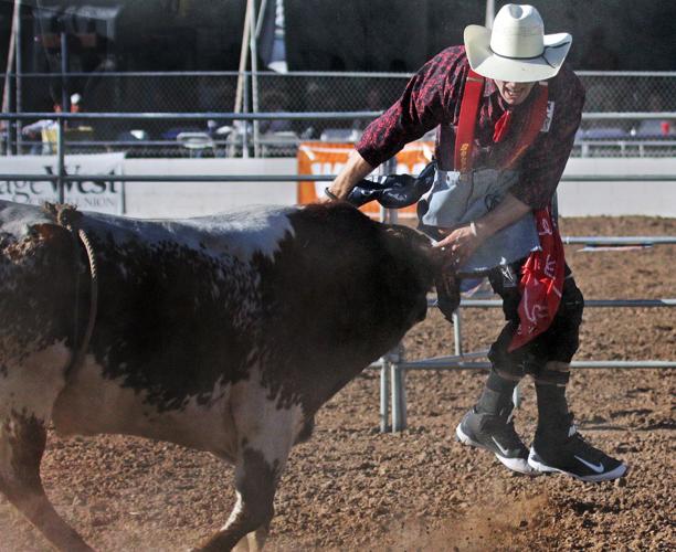 2016 Tucson Rodeo
