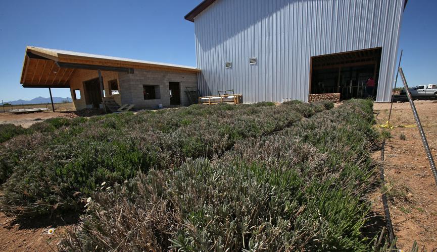 Flying Leap Vineyards