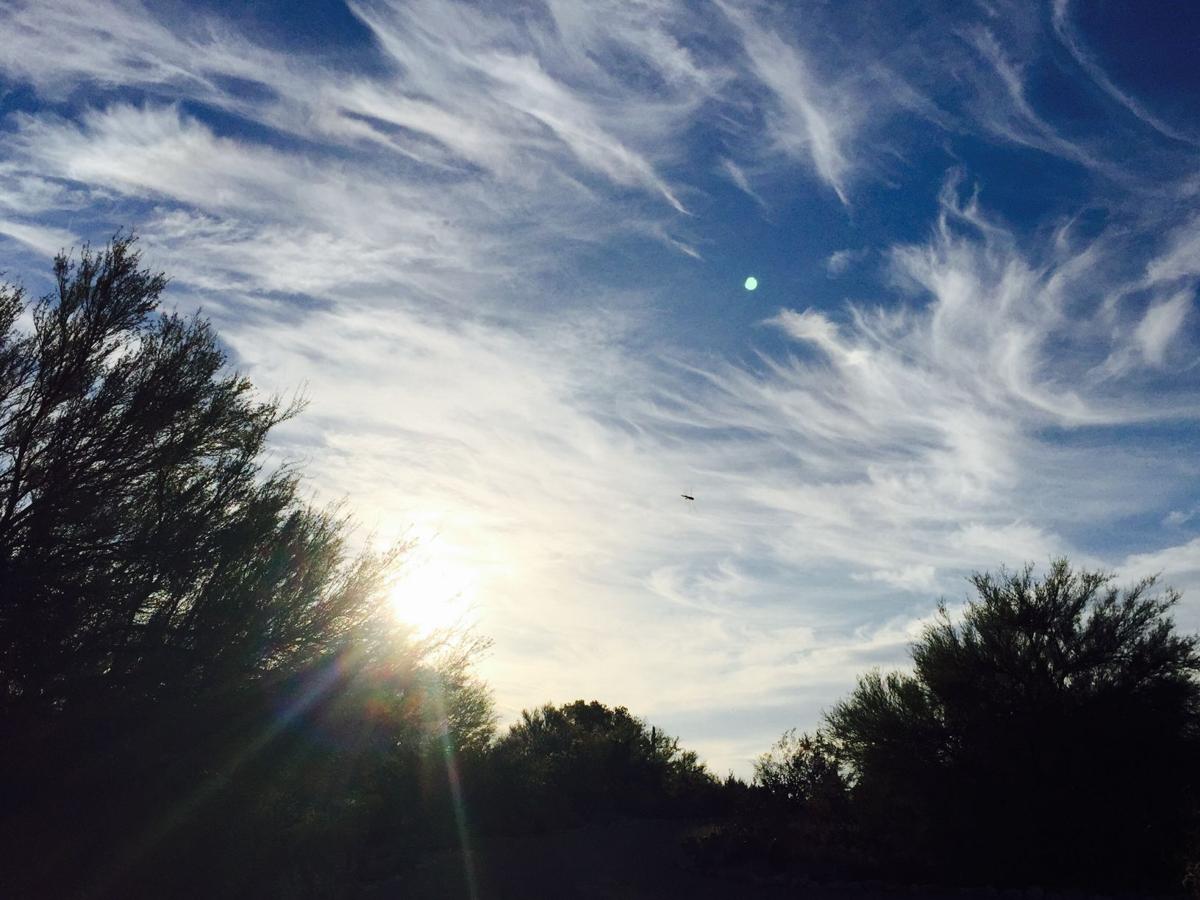 Mare's tail clouds at sunrise