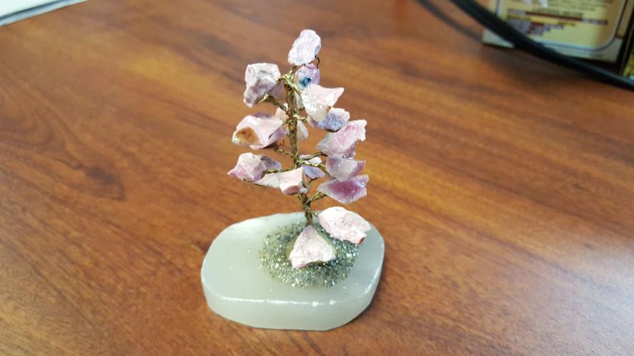 Seven women, 45 minutes and less than $150 at the Gem Show