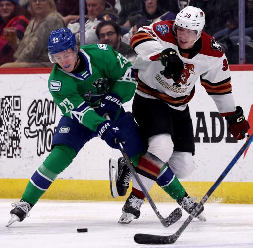 Roadrunners vs Abbotsford, AHL | Jan. 24, 2025