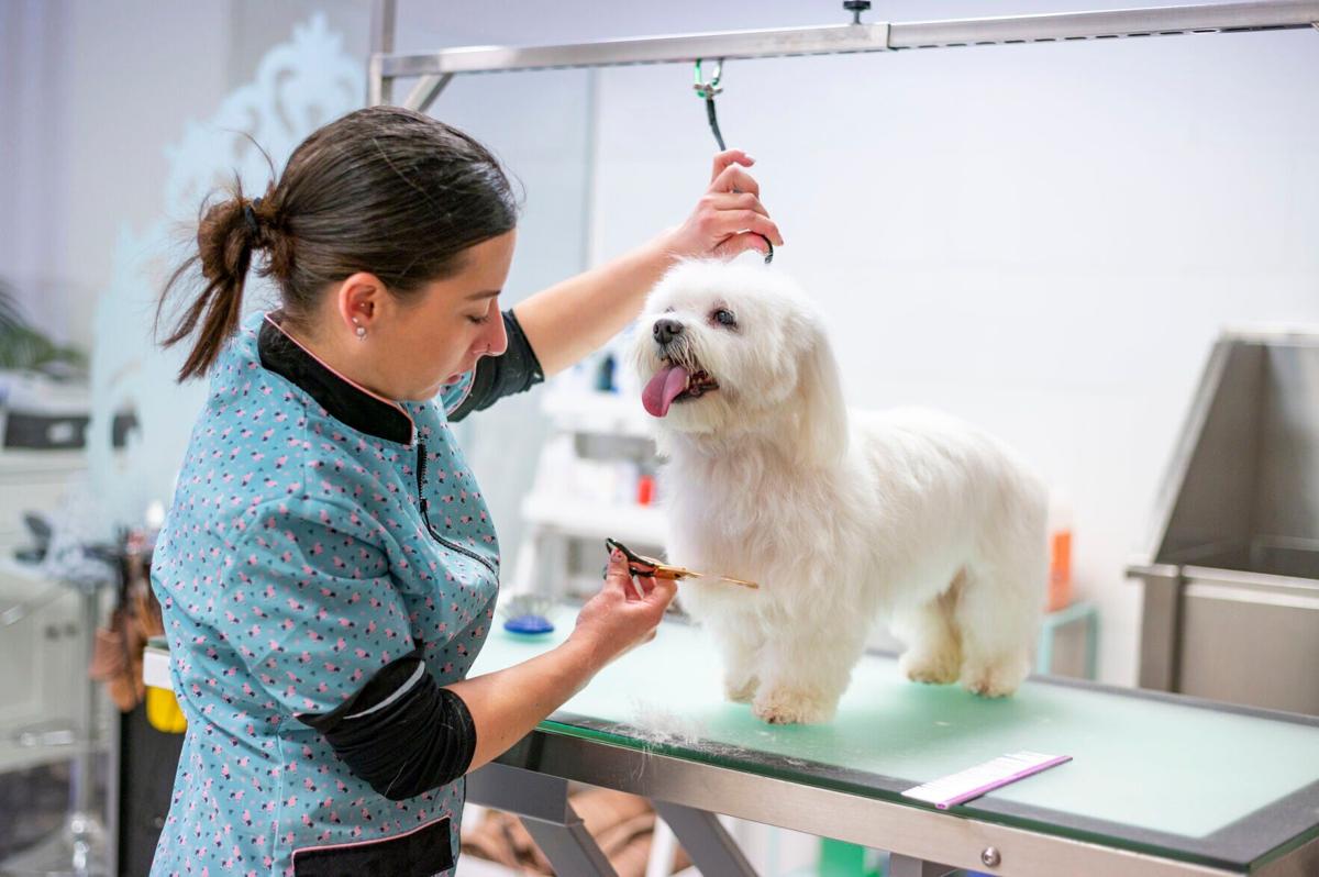 The NerdWallet SMB Financing Index evaluates factors such as delinquency rates, new loan volumes and optimism among small-business owners about future economic conditions.