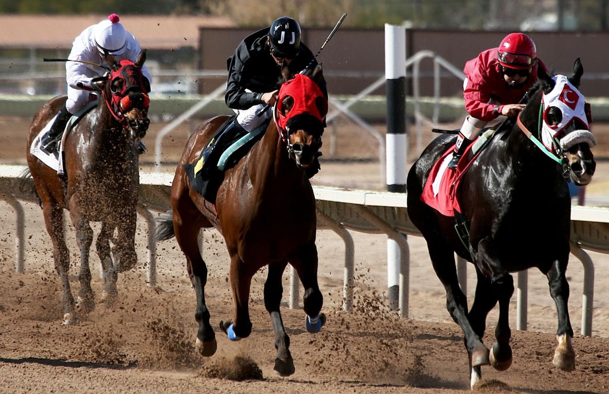 Horse racing at Tucson's Rillito Downs unlikely this year