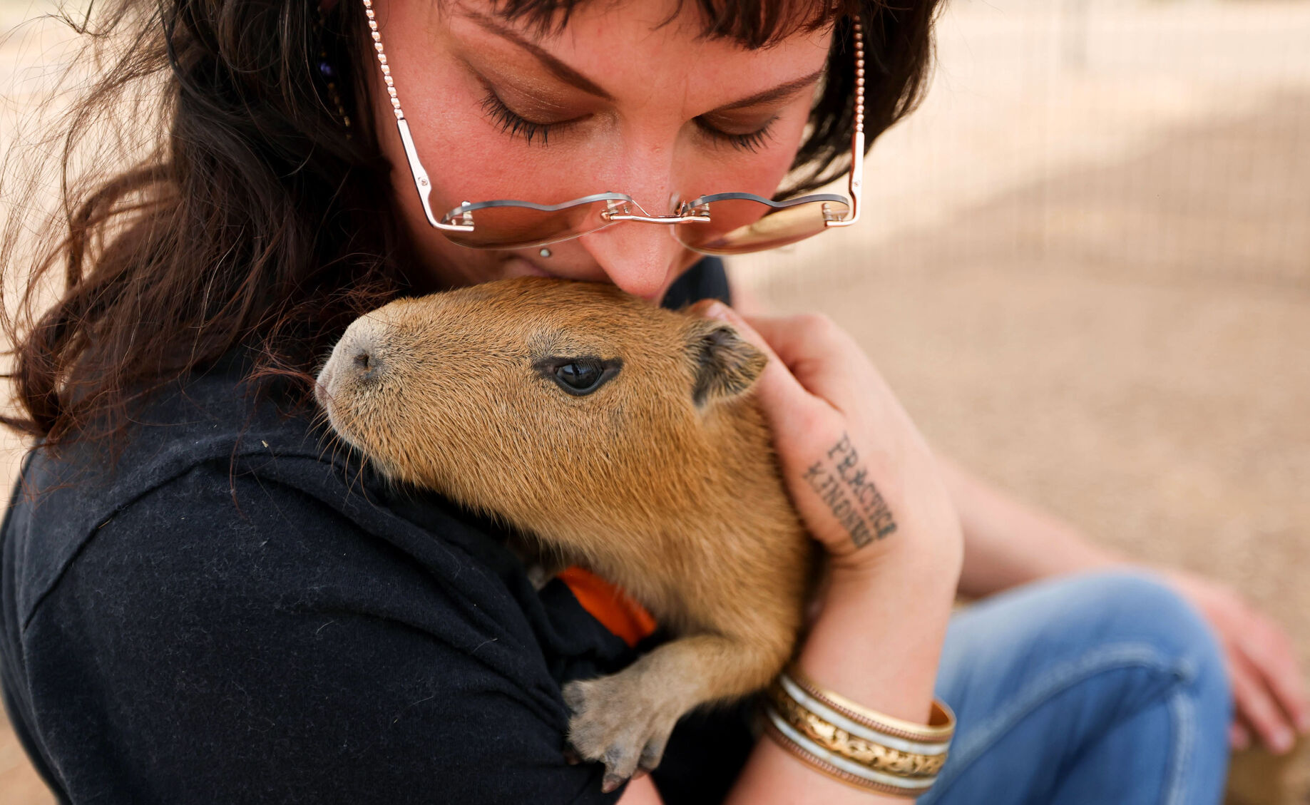 2 more capybaras join private Marana zoo