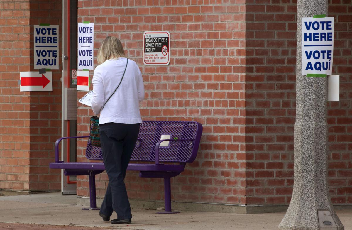 Arizona Democratic Primary Election