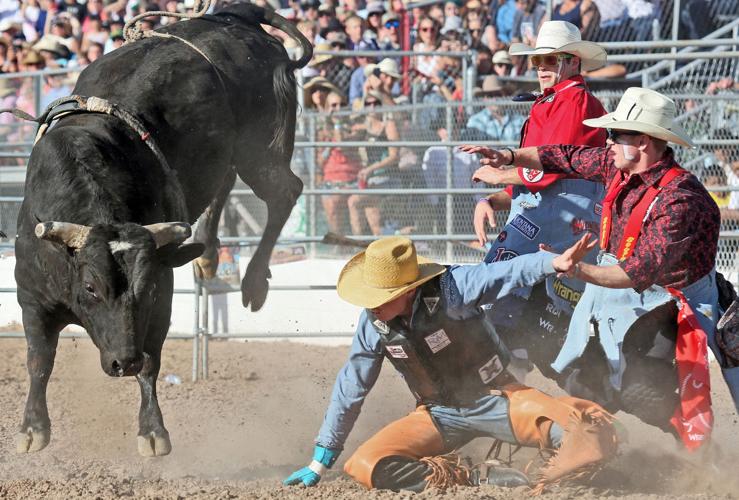 2016 Tucson Rodeo