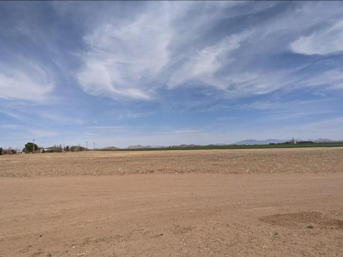 Pet breeding site in Elfrida