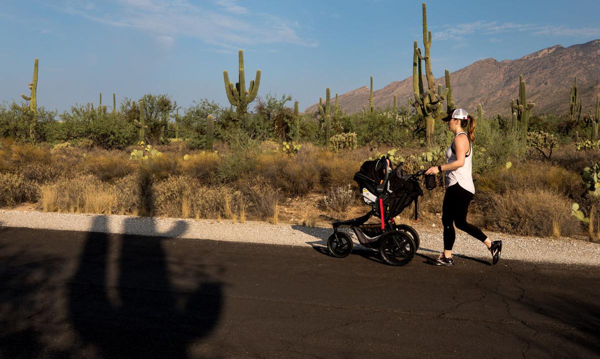 Sabino Canyon Recreation Area