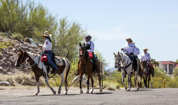 Search for Ann Pardo