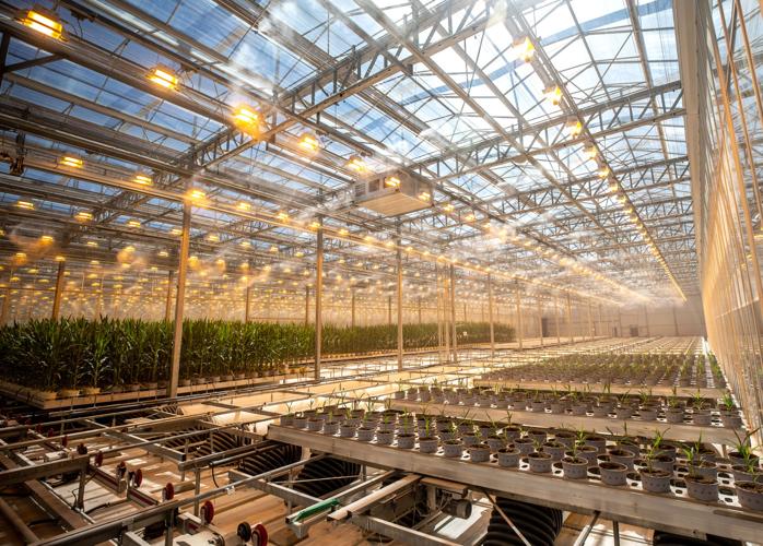 Bayer Automated Greenhouse