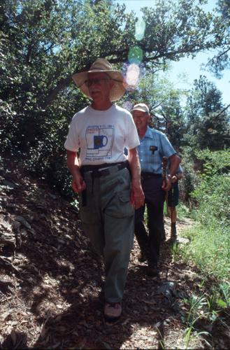 Trails on the eastern slopes of the Santa Catalina Mountains