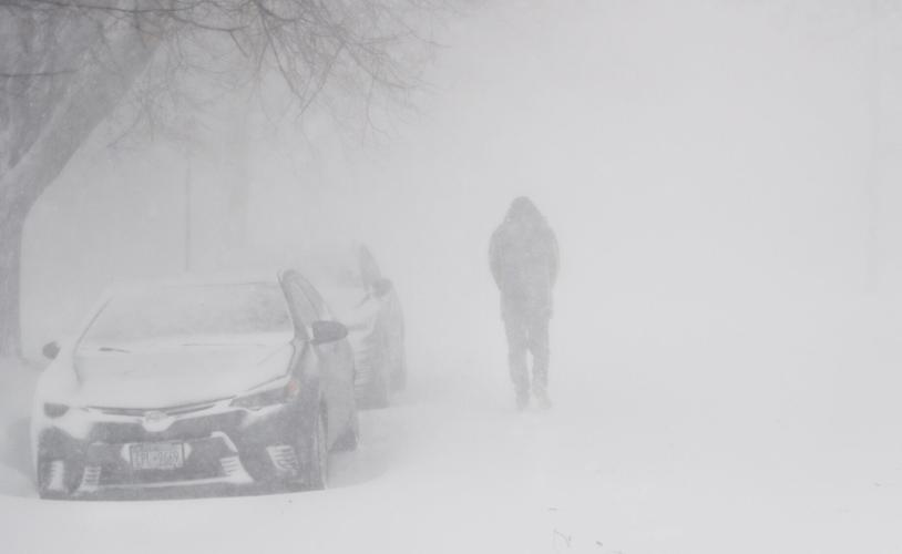 Buffalo Blizzard