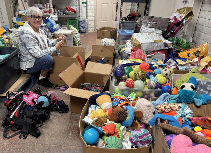 Tucson nonprofit, Cody’s Friends, a March Muttness finalist