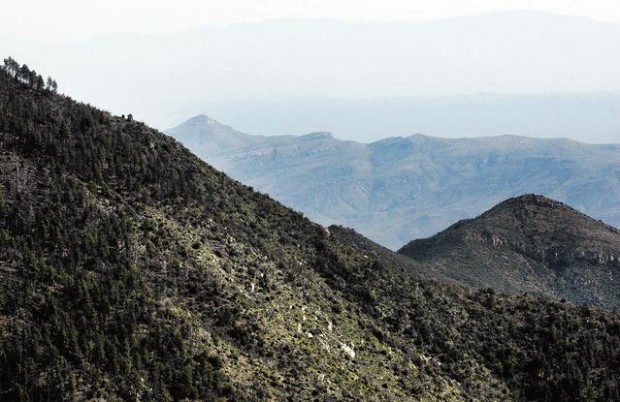 Pinal Mountains getaway: Canyon without crowds  