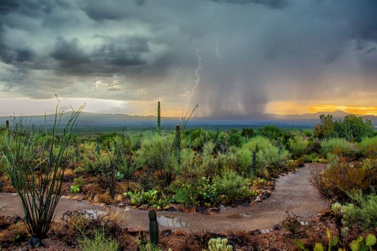 Monsoon photo contest