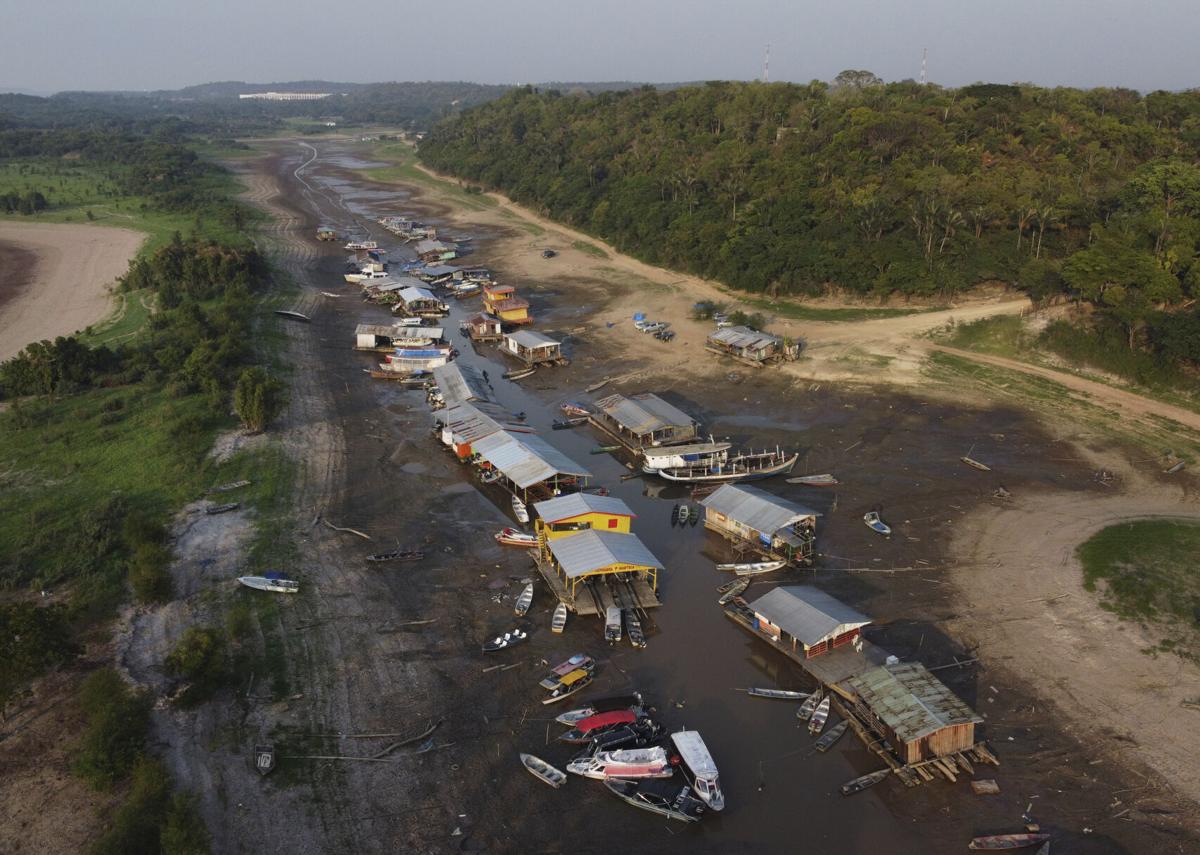 Deforestation In Brazil Is Changing The Weather, Hurting Farms : NPR