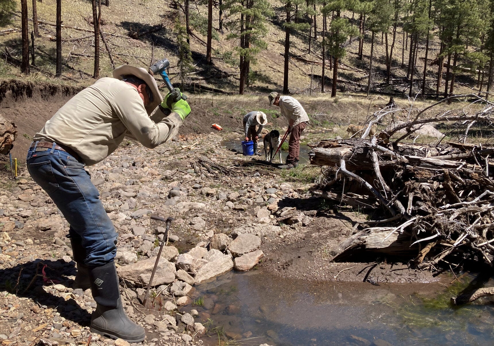 Can fish survive West's megadrought?