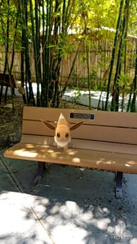 5 things to expect from Tucson zoo's 'Pokemon Go' nights