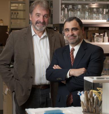 Cancer Prevention Pharmaceuticals