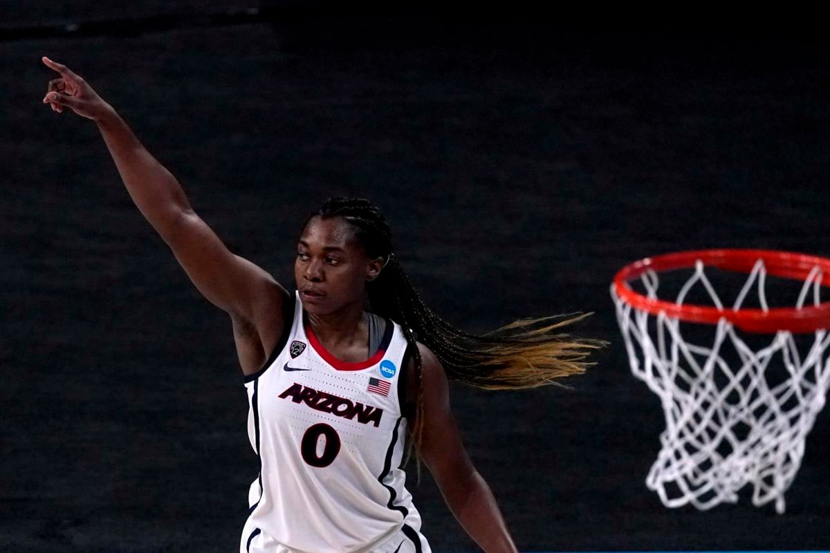 NCAA Stony Brook Arizona Basketball