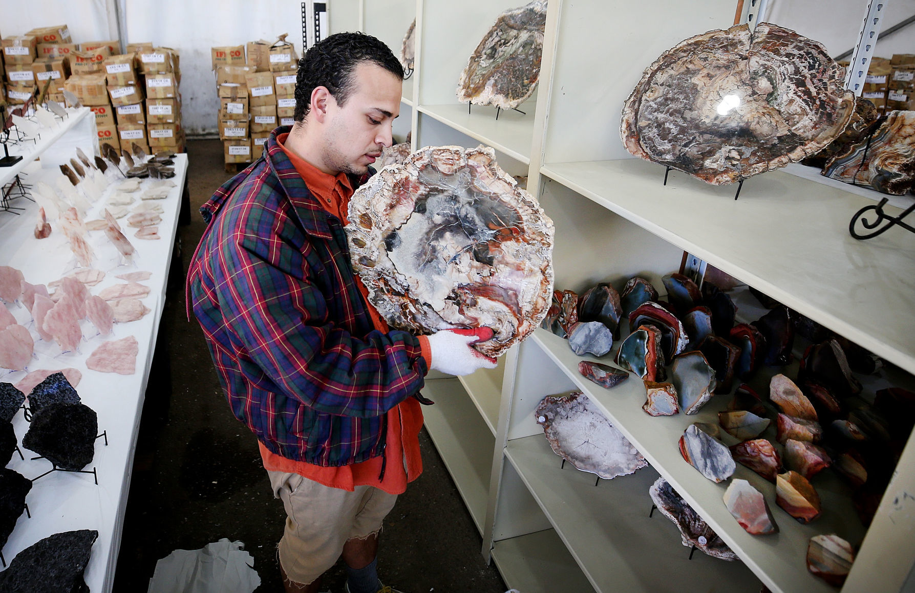 How To Make The Most Of The Tucson Gem, Mineral & Fossil Showcase ...