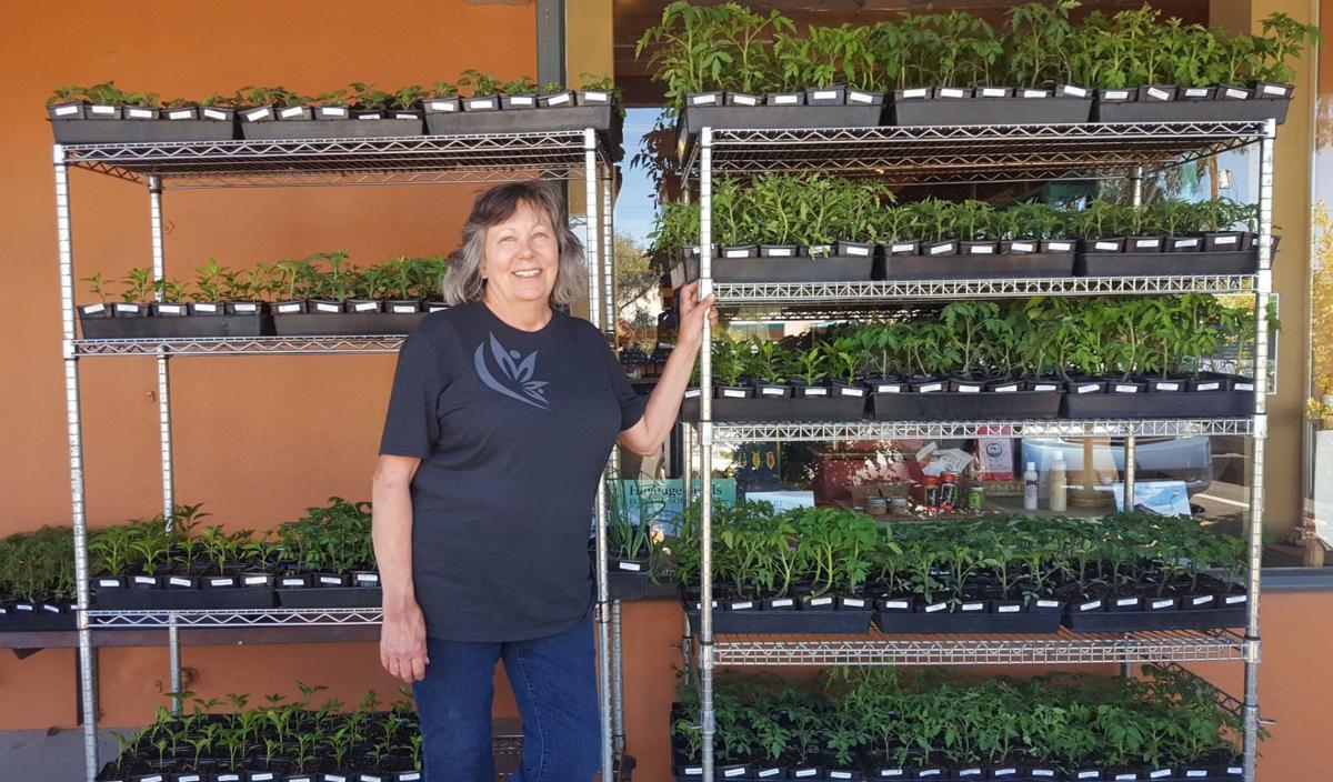 Annual Monsoon Plant Sale — Native Seeds/SEARCH