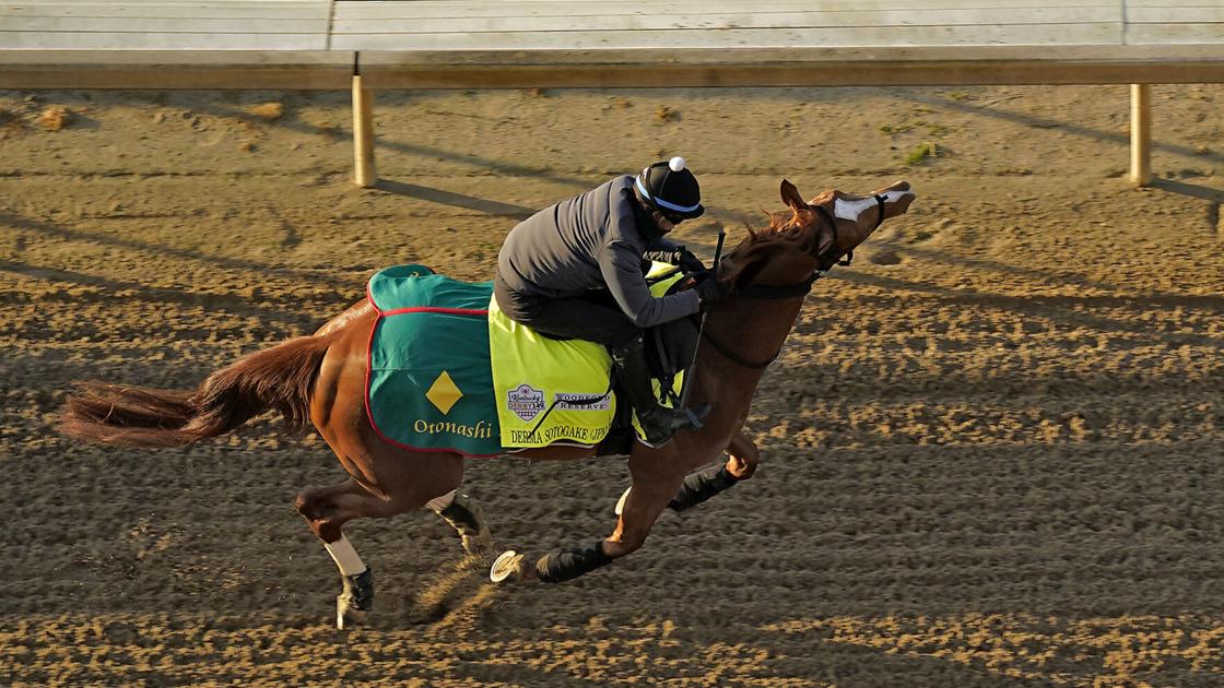 What to expect: 19 horses to tangle in wide-open 149th Kentucky Derby