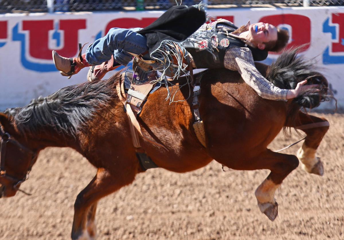 Trevor Brazile's return to Tucson Rodeo lasts just seconds Tucson