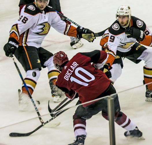 Coyotes vs Ducks Hockey