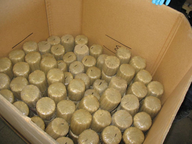 Marijuana in canned jalapenos