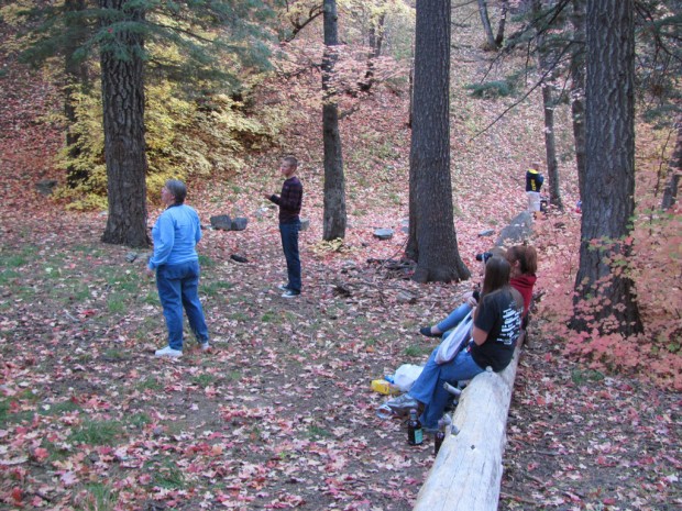 They're still glorious - but not for long   