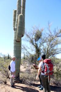 Ordinary citizens collecting scientific data has become important to researchers