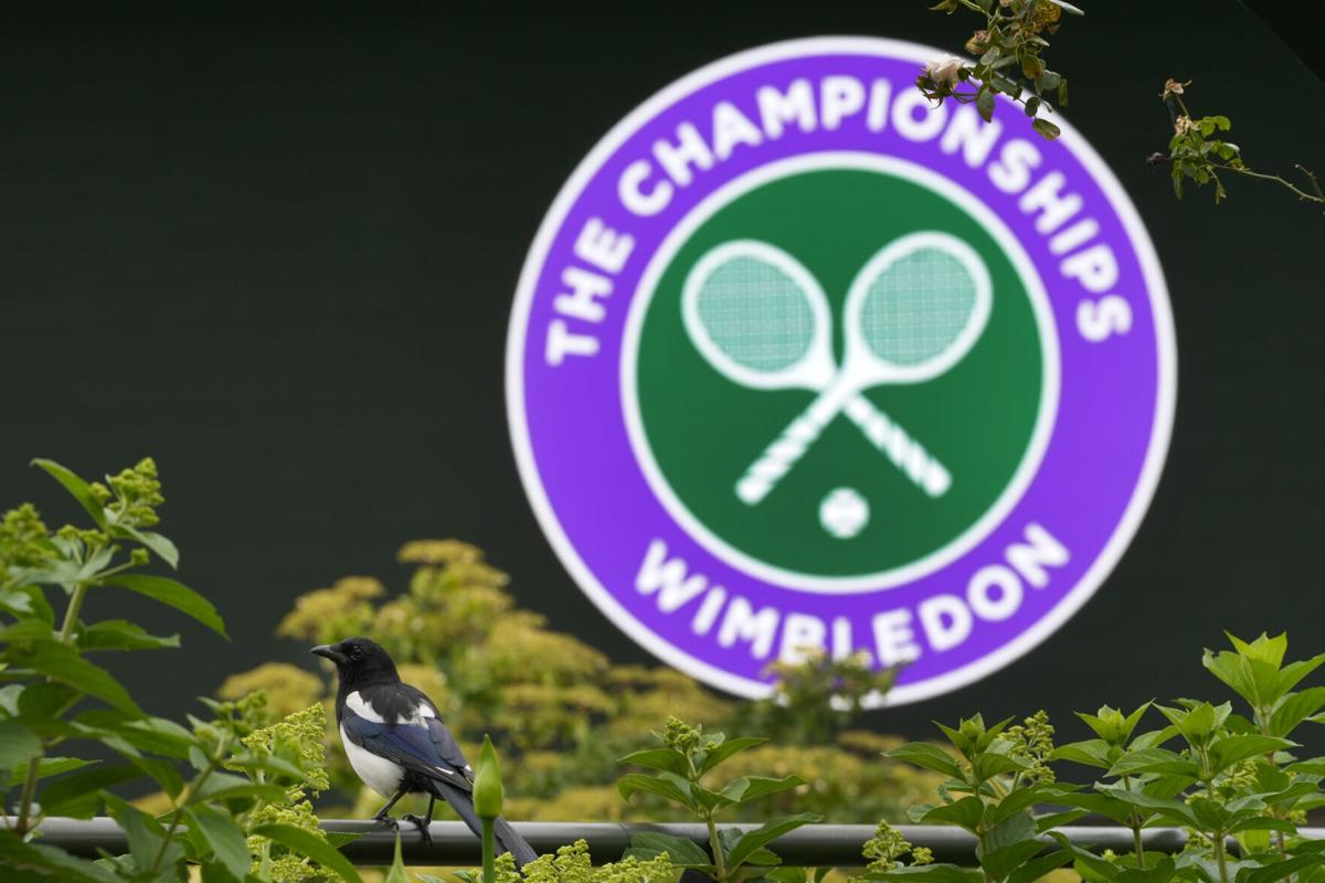Britain Tennis Wimbledon