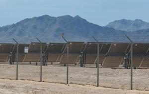 Arizona solar farm becomes haven for burrowing owls