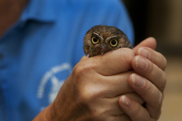 Tucson Mall offers events for kids    
