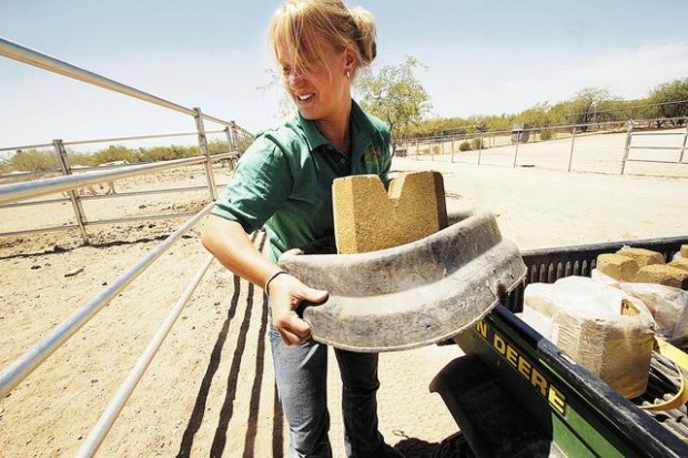 There's no time to horse around  