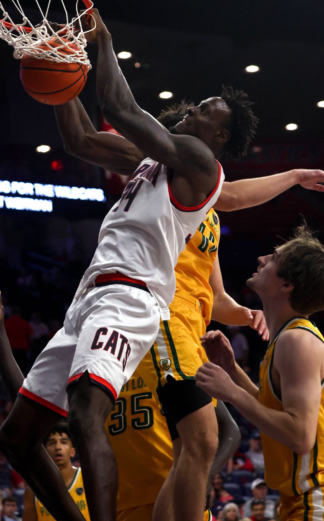 Arizona basketball beats Point Loma, 113-64 | Oct. 28, 2024