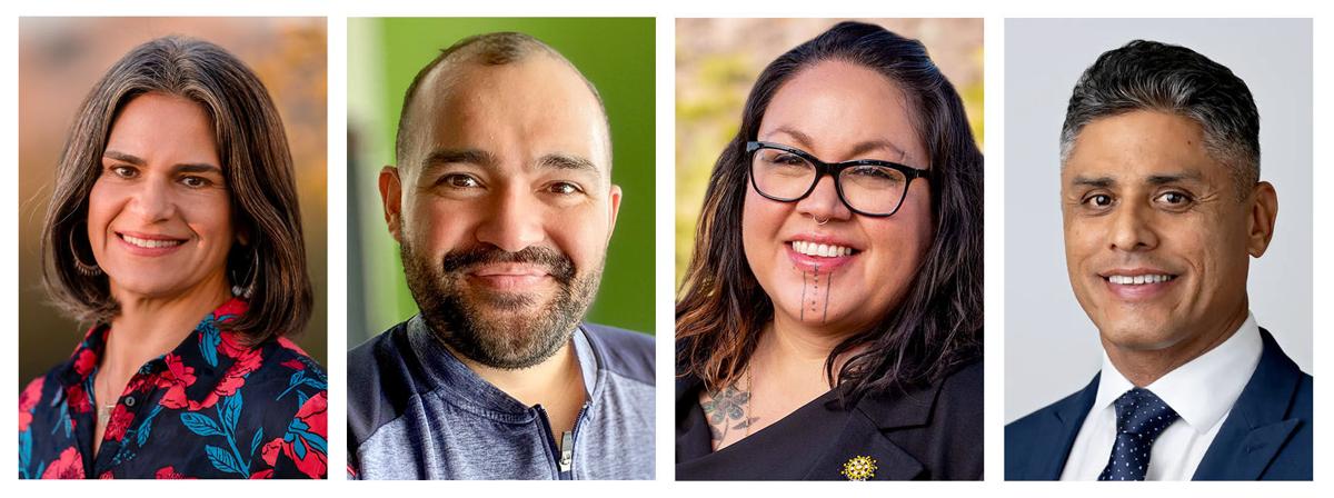 Four Democrats vying in primary for vacated Pima County supervisors seat